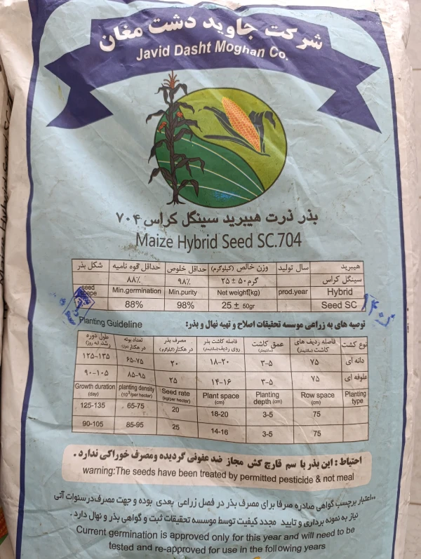 بذر ذرت 704 مغان | مناسب تمام مناطق ایران | پربازده و مقاوم| هیبرید سینگل کراس تولید 1403