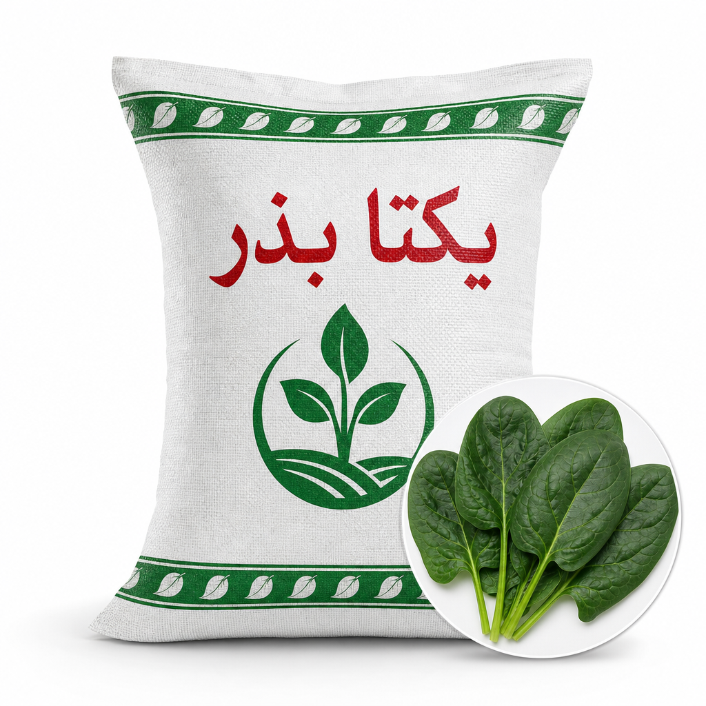 خرید اسفناج ویروفلای | بذر اسفناج Viroflay با بهترین قیمت