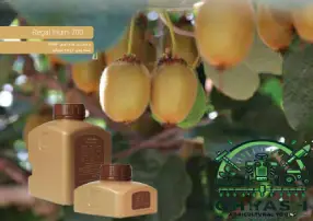 رگال هیوم 700 | کود هیومیک اسید قوی از بهترین لئوناردیت با جذب بالا